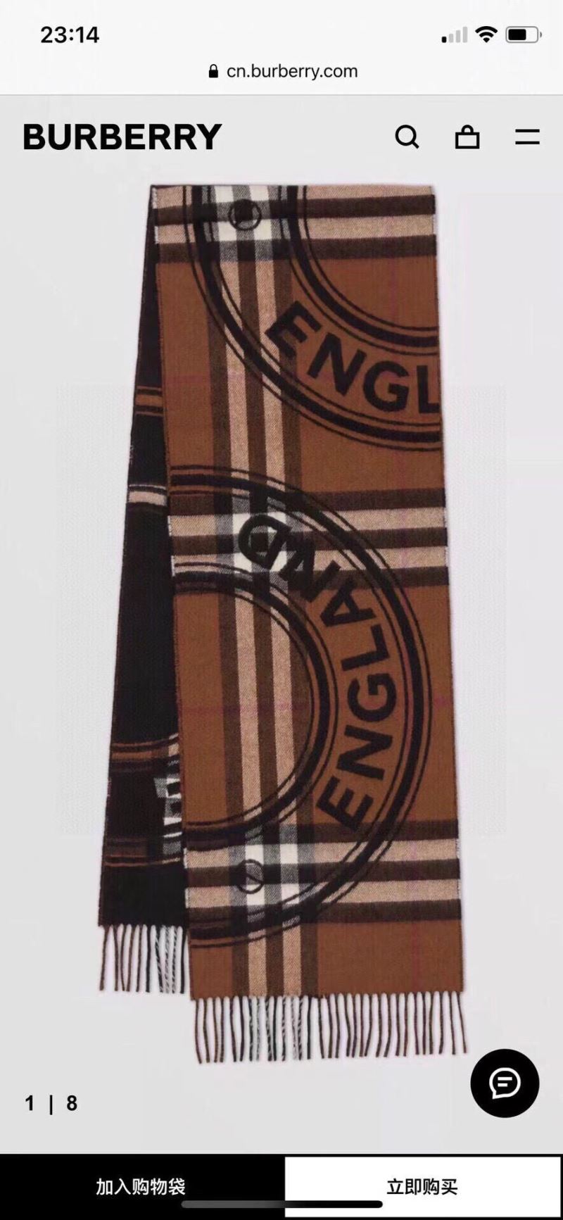 Burberry Scarf